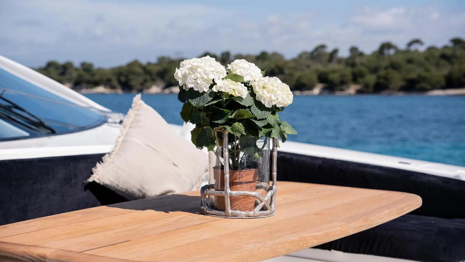 Palumba Hotel Cannes Botel